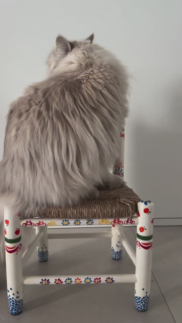 Imagen de diapositiva