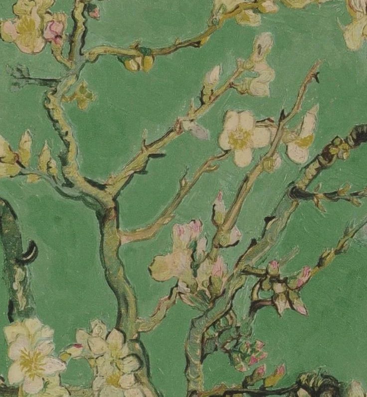 Imagen de diapositiva